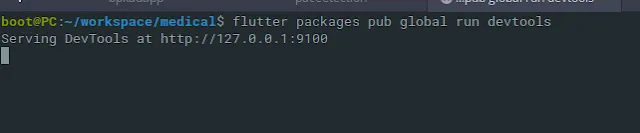 DartDev Tools terminal