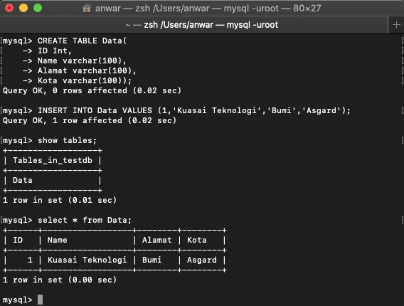 Creating Tables and Inserting Data in MySQL