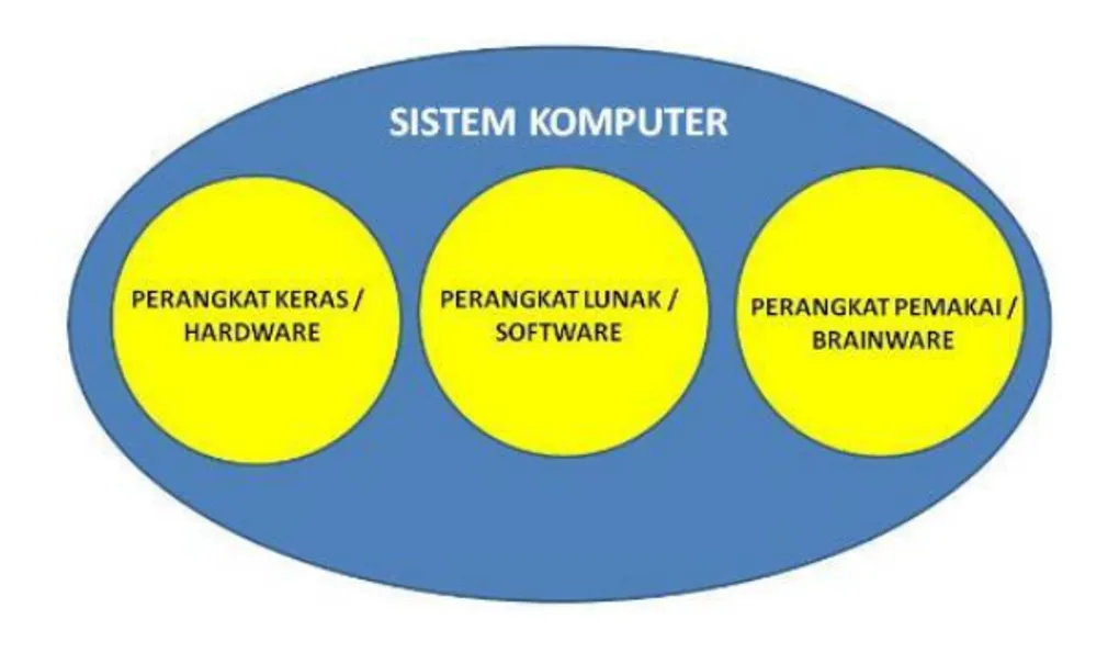 Computer Systems: Hardware, Software, and Brainware